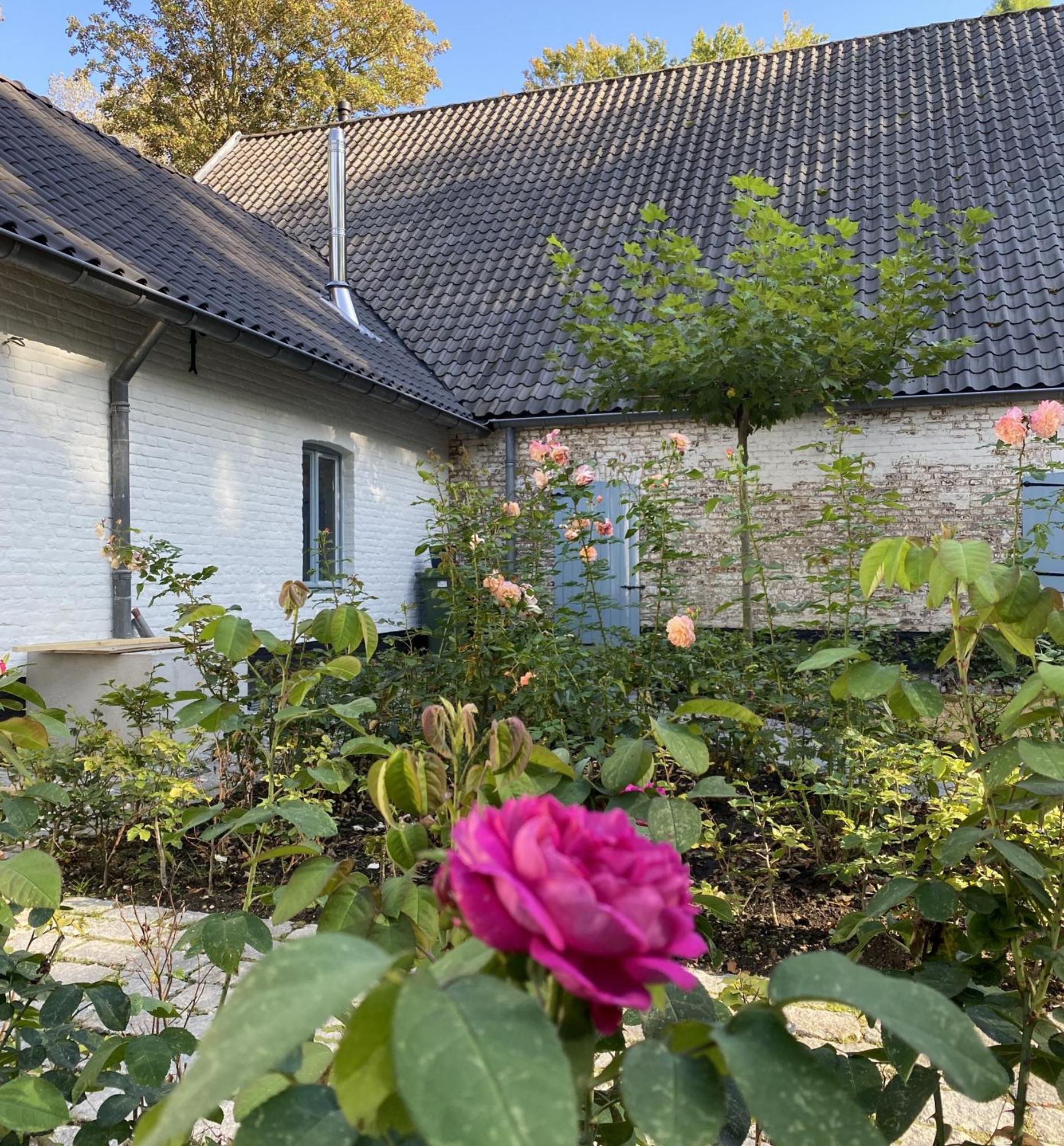 Cottage Landgoed Frymerson Sint Odiliënberg エクステリア 写真