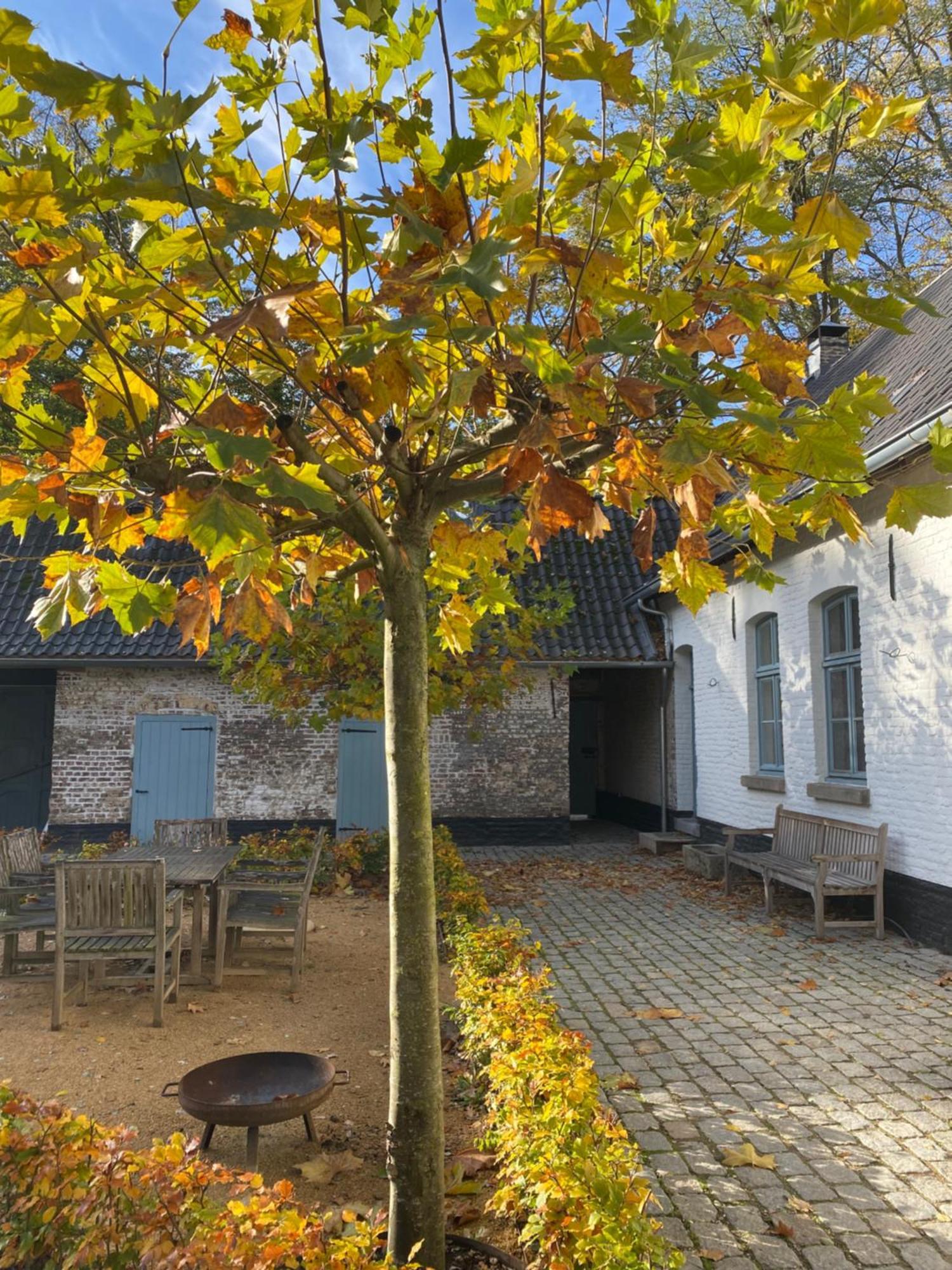Cottage Landgoed Frymerson Sint Odiliënberg エクステリア 写真